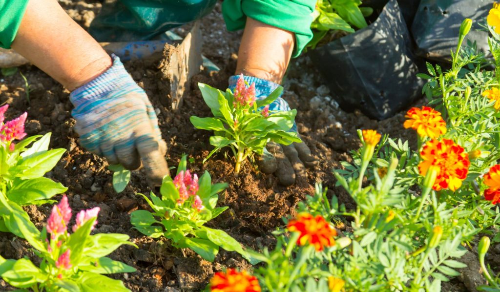 "Gardening group at Old Gourock and Ashton Parish Church."